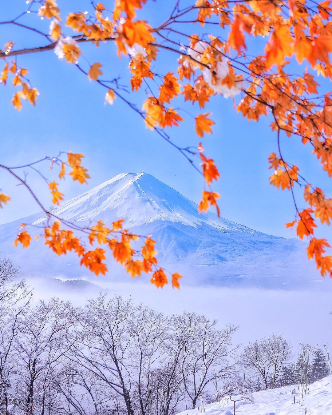 criss1016_144070482_746612352959925_674104972000191083_n