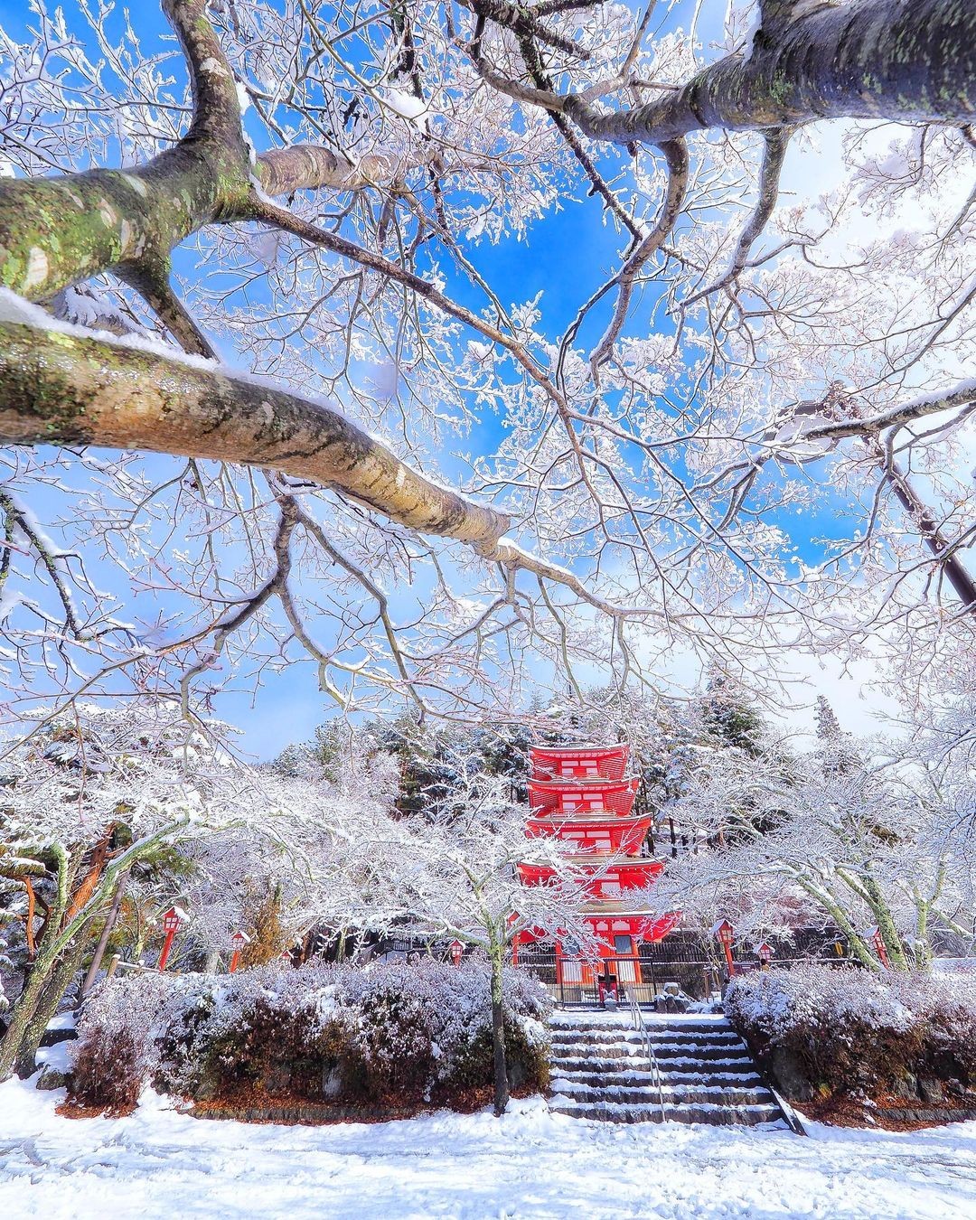 criss1016_143249080_473368597381788_1440163849310616893_n